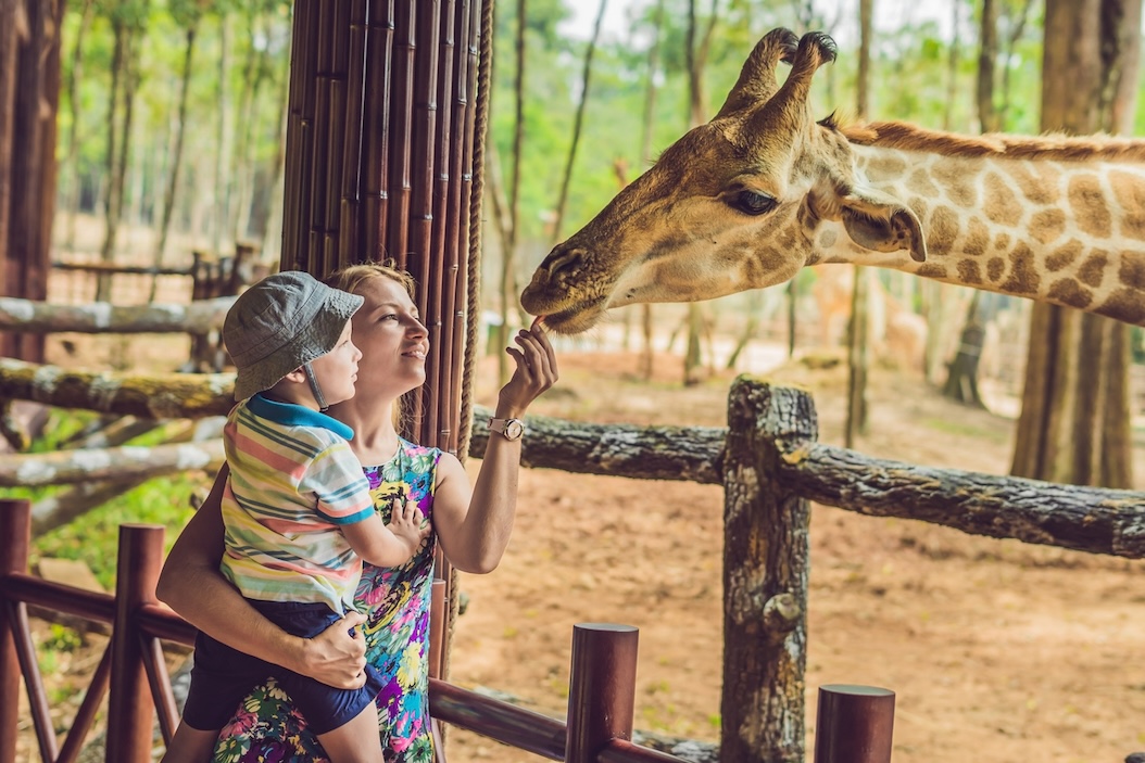 Family enjoying a zoo visit during a summer trip while exploring family summer activities in Nashville